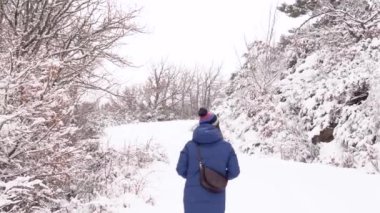 Kış günü, kar ormanlarında, yolda yürürken, kalın giysili, tanınmayan kadın gezginin arka görüntüsü.