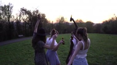 Bir grup mutlu kadın parkta toplanıp bira şişelerini tokuştururken birlikte yaz haftasonunun tadını çıkarıyorlar.