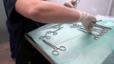 Plastik eldivenli tanınmayan veteriner klinikte köpek hastaların pençelerine karşı çeşitli cerrahi aletler hazırlıyor.