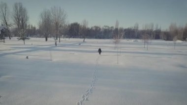 Back view of female going on snow terrain around green firs under picturesque sky