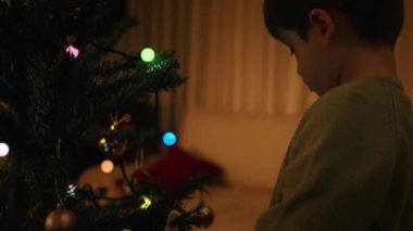 Noel ve Yeni Yıl kutlamaları.