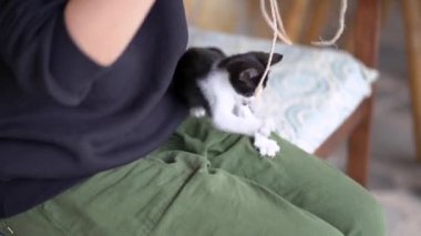 Tarla farkıyla tanınmayan kadın akıllı ip evin arka ayakları üzerinde duran sevimli kediyle oynuyor.