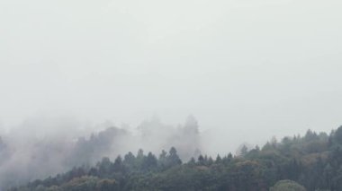 Sisli dağ manzarası 