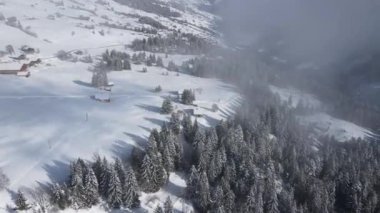 Bereketli kozalaklı ormanın üzerinde süzülen beyaz bulutlar güneşli kış günlerinde karlı dağ yamacında büyüyor.