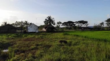 Filipinler Asya 'da bulutlu gökyüzünün altında taşıma araçları ve yeşil tarlaları olan eski barakaların insansız hava aracı görüntüsü