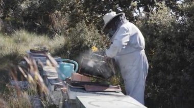 Koruyucu şapkalı mutlu profesyonel arı yetiştiricisi arılarla meşgul. Man Bee Master arı kovanlarının yakınında çalışıyor.