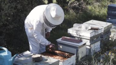 Koruyucu şapkalı mutlu profesyonel arı yetiştiricisi arılarla meşgul. Man Bee Master arı kovanlarının yakınında çalışıyor.