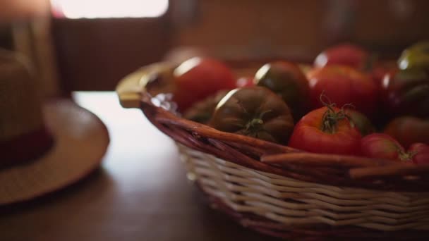 Material Primer Plano Tomates Rojos Canasta Mimbre — Vídeo de stock