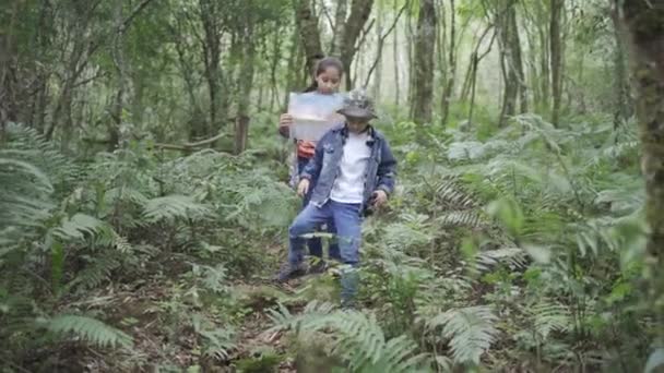 Ethnisches Mädchen Mit Papierleitfaden Schaut Mit Fernglas Zwischen Farnpflanzen Sommerwald — Stockvideo