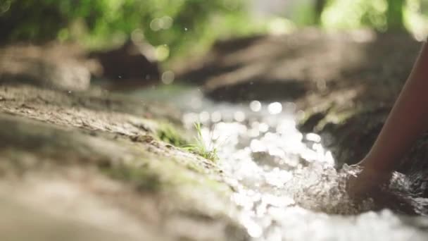 Colheita Fêmea Irreconhecível Tocando Água Clara Rio Que Flui Natureza — Vídeo de Stock