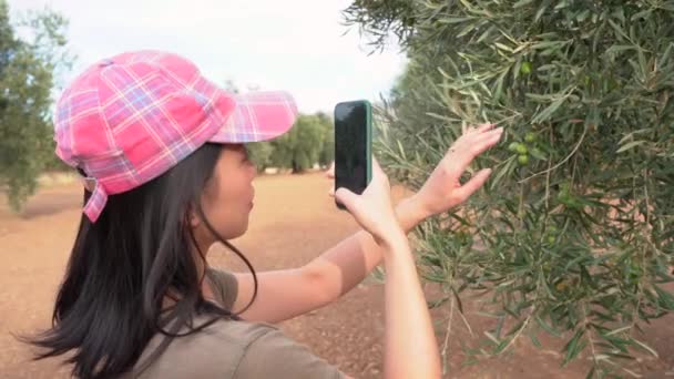 一个戴帽子的女性站在林子里用现代智能手机录下一棵绿色橄榄树的视频的侧影 — 图库视频影像