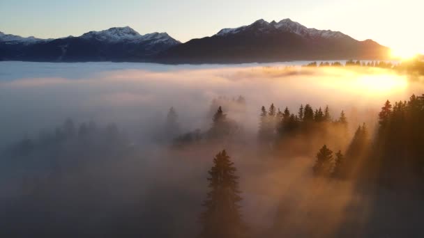 Malowniczy Widok Drona Grube Białe Chmury Pokrywające Górską Dolinę Śnieżnymi — Wideo stockowe