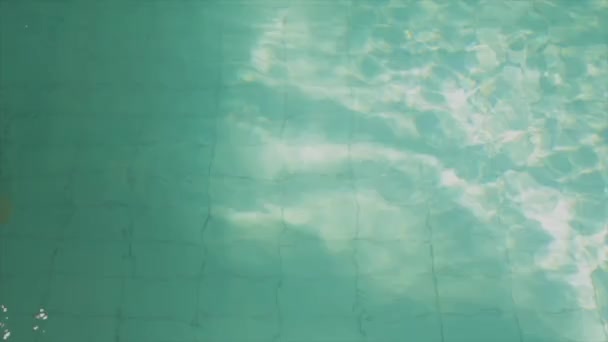 美しい若い水泳の女性は 水の下でダイビング — ストック動画