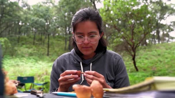 食物の匂いを嗅ぐ眼鏡の集中女性菌類学者森の中でキノコを収集しながら ボレトスPinopilus — ストック動画