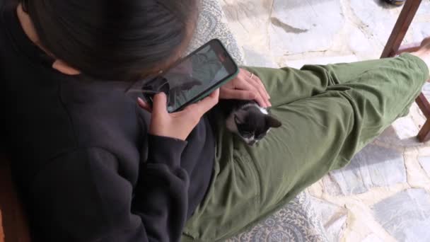 Crop Female Stroking Shooting Cute Kitty Smartphone While Resting Sofa — Stockvideo