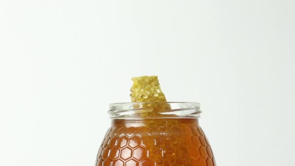 Closeup Piece Honeycomb Floating Emerging Top Glass Jar Full Fresh — ストック動画
