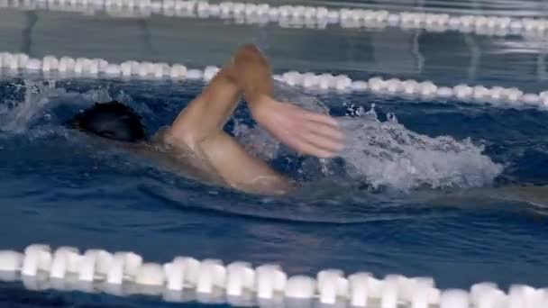 Νεαρός Επαγγελματίας Αθλητής Που Κολυμπά Στην Πισίνα — Αρχείο Βίντεο