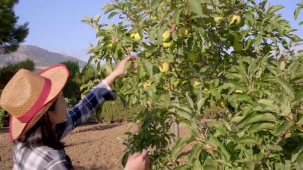 Traurige Bäuerin Steht Mit Reifem Apfel Garten Eines Dorfes Und — Stockvideo
