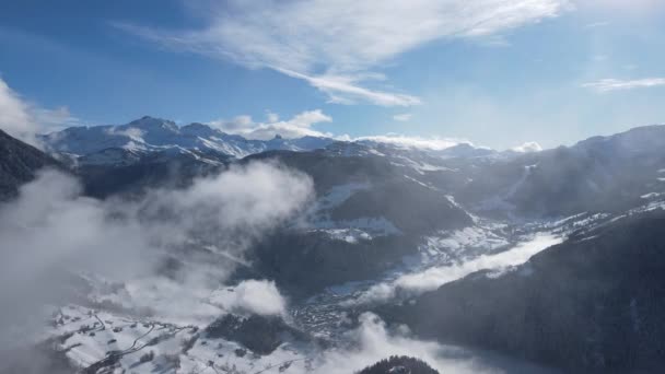阳光明媚的阿尔卑斯山雪地森林里生长着针叶树 上面覆盖着白霜 风景如画 — 图库视频影像