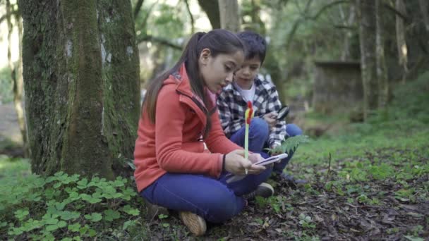 带着钢笔和记事本的少数民族女孩和坐在树林里的土地上用放大镜检查蕨叶的兄弟 — 图库视频影像