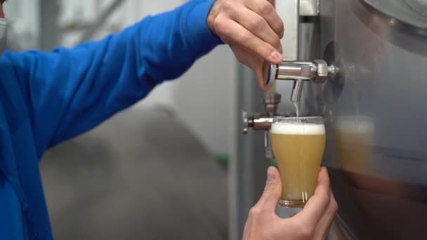 Hombre Vertiendo Cerveza Vaso — Vídeos de Stock
