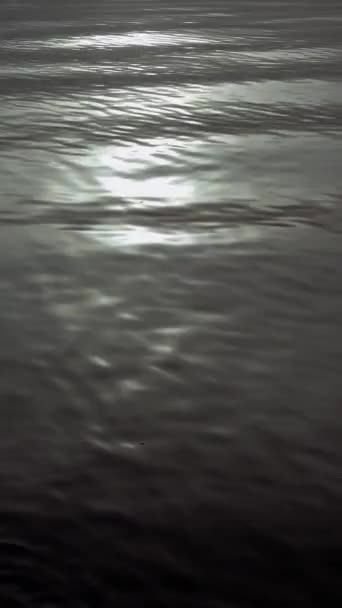 Γραφική Άποψη Κυματιστή Λίμνη Κάτω Από Φεγγάρι — Αρχείο Βίντεο