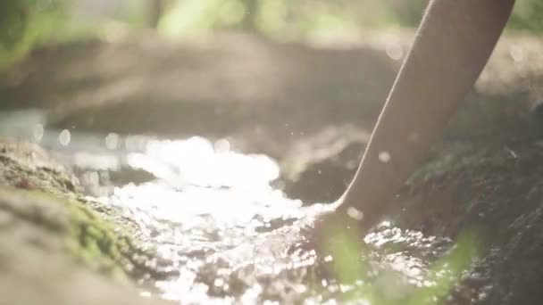 作物認識できない女性は夜に自然の中で流れる川の澄んだ水に触れる — ストック動画