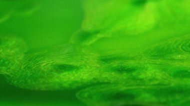 Parlak metalik boya parçacıkları