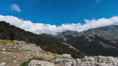 Kuzey Kafkasya 'nın dağlarındaki güzel dağ manzarası.