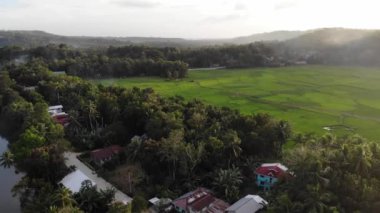 Filipinler 'deki evler ve tarlalar arasındaki yemyeşil ağaçları ve nehirleri gösteren insansız hava aracı manzarası