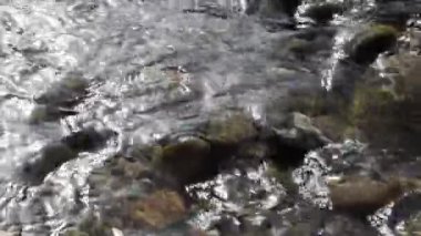 Sakin nehirdeki taşın gündüz görünümü