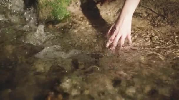 作物認識できない女性は夜に自然の中で流れる川の澄んだ水に触れる — ストック動画