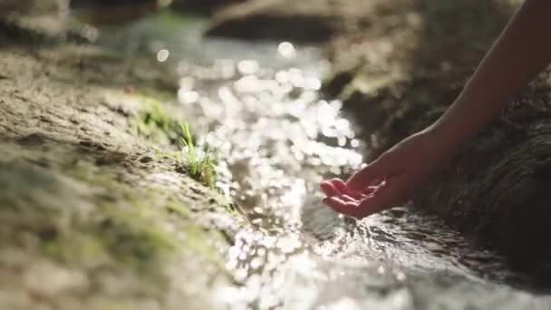 Gewas Onherkenbaar Vrouwtje Aanraken Helder Water Van Rivier Stroomt Natuur — Stockvideo