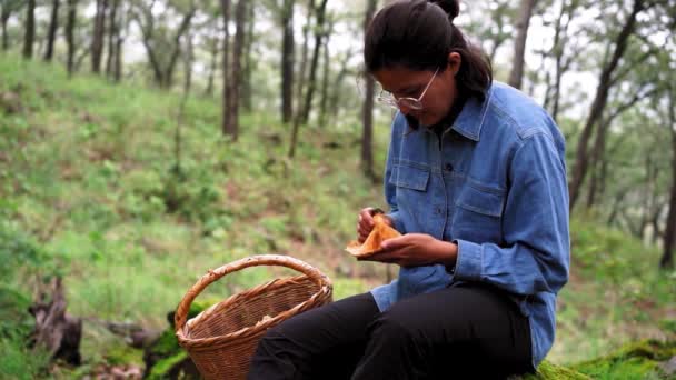 潘在森林里留下了一位严肃的女菌丝学家 她坐在布满苔藓的卵石上 旁边放着香菇 — 图库视频影像