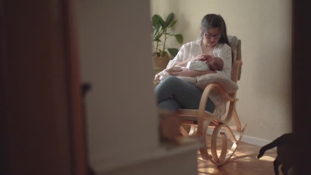 妈妈戴着眼镜 在阳光下坐在房间里 在柔软的垫子上给不知名的小孩喂奶 — 图库视频影像