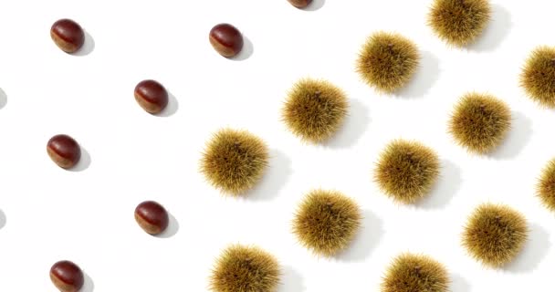 Süße Kastanien Und Schalenmuster Hintergrund — Stockvideo