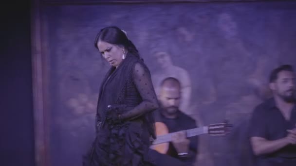 Cuadro Flamenco Dansare Scenen — Stockvideo