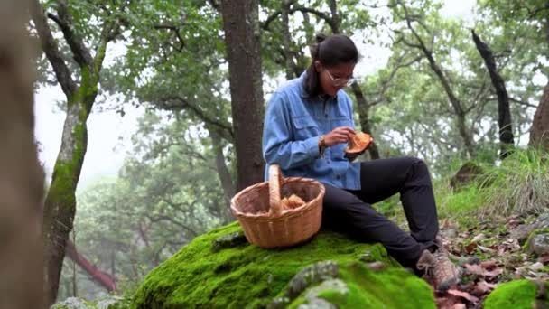 Pan Deixou Micologista Feminina Séria Sentada Pedra Musgosa Com Cogumelo — Vídeo de Stock