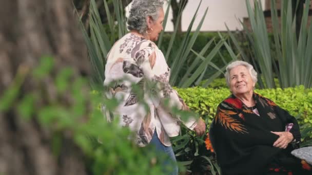 Feliz Anciana Mujer Abrazando Besando Hermana Cabeza Luego Sonriendo Mirando — Vídeo de stock