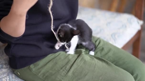 Crop Unrecognizable Woman Wit Rope Playing Cute Kitty Standing Hind — Stock Video