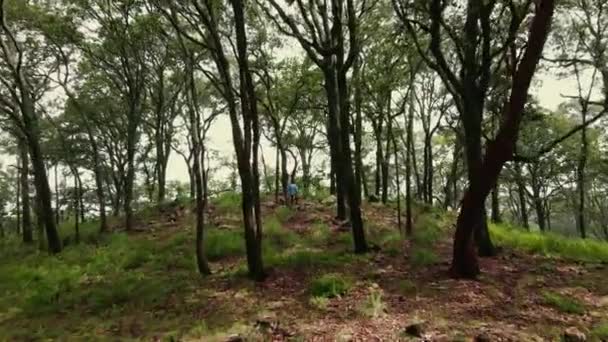 空中的变焦镜头映衬着高大的树木和身披柳条篮蘑菇的难以辨认的女性 她们站在森林的大石头上 — 图库视频影像