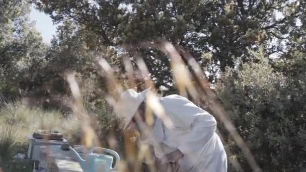 Felice Apicoltore Professionista Cappello Protettivo Occupato Apiario Man Bee Master — Video Stock
