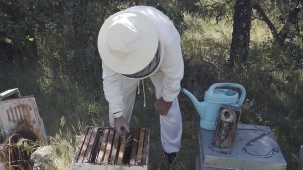 Happy Professional Včelař Ochranném Klobouku Zaneprázdněn Včelíně Man Bee Master — Stock video