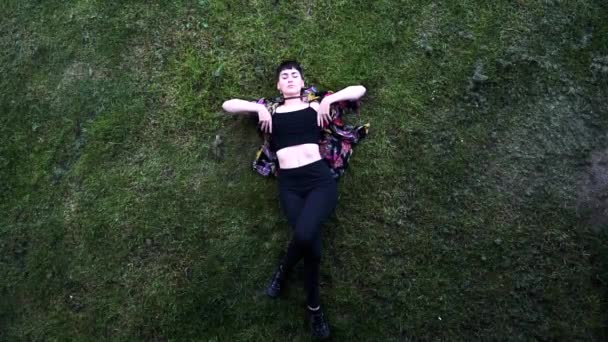 งนอนบนหญ าในสวนสาธารณะส — วีดีโอสต็อก