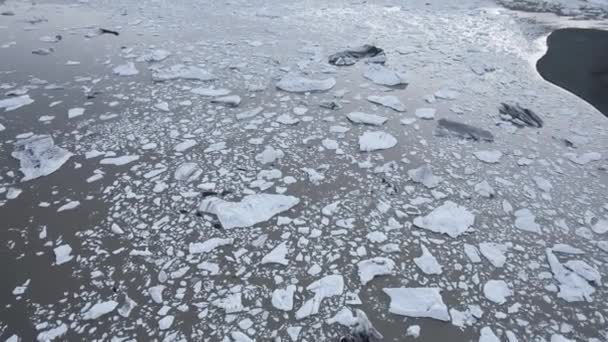 冰岛冬季 在雪山的壮丽山脉附近 空中俯瞰冰冷的海水 冰上浮冰 — 图库视频影像