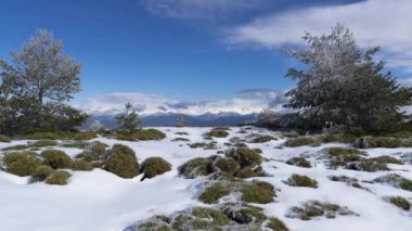 Güzel kış dağ manzarası