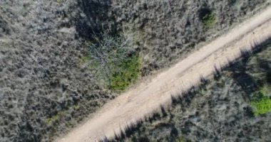 Güneşli bir günde ağaçların ve tarlaların havadan görünüşü