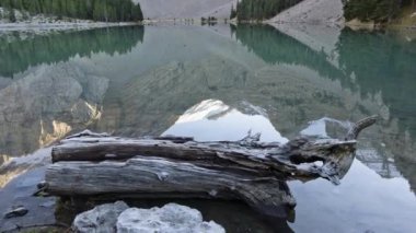 Ormandaki dağ nehrinin güzel görüntüleri.