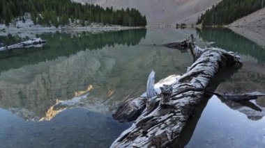 Ormandaki dağ nehrinin güzel görüntüleri.