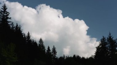 Ormanın üzerindeki büyük bulutlar